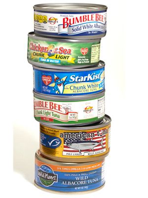 Canned Tuna or Salmon Tuna Ads, Apocalypse Ideas, Tuna Salad Recipe Easy, Easy Tuna Salad, Making Sandwiches, Great Salad Recipes, Healthy Tuna Salad, Survival Prep, Food Knowledge