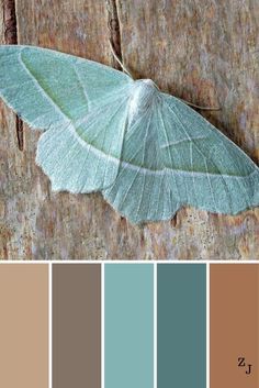 350 Non stop colour boards ideas | color inspiration, colour schemes, color schemes Color Schemes Colour Palettes, Color Palette Design, Color Balance, Blue And Brown, Paint Colors For Home, Colour Palettes, Color Stories, Colour Schemes, Color Pallets