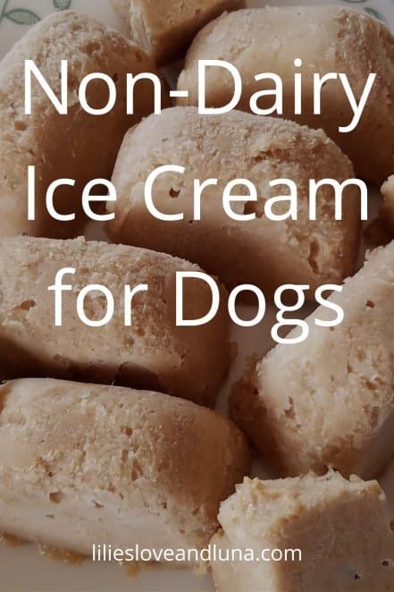 Dog Food Sensitive Stomach, Homemade Dog Treats Easy, Dog Food Recipes Vet Approved, Homemade Dog Food Recipes Vet Approved, Dog Treat Ideas, Dog Food Recipes Homemade, Ice Cream For Dogs, Frozen Dog Treats Recipes, Dog Ice Cream Recipe