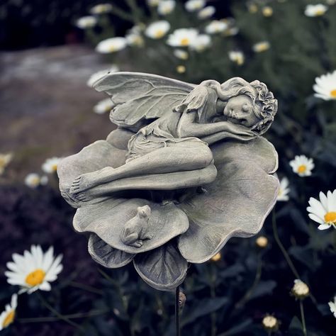 Amazon.com: hvfun Garden Fairy Statue,Garden Sleeping Angel on Lotus Leaf with Bird Feeder Feature Outdoor Decor Sculptures Figurine Gardening Lawn : Patio, Lawn & Garden Fairy Garden Fountain, Whimsical Garden Decor, Fantasy Statue, Outdoors Ideas, Sleeping Angel, Outdoor Gathering Space, Statue Garden, Outdoor Gathering, Fairy Statues