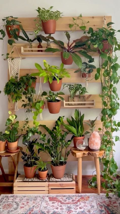 Plant Stand Hanging, Plant Garden Ideas, Indoor Plant Garden, Hanging Plant Indoor, Wall Plants Indoor, Living Room Plants Decor, Plant Rack, Indoor Plant Stand, Indoor Plant Wall