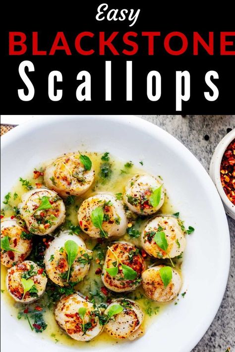 Craving a taste of the ocean? Our Blackstone Scallops are calling your name! With a perfectly seared, golden crust and a tender heart, they're the simple luxury your dinner deserves. 🍽✨ Why wait for the weekend when you can indulge any day? Blackstone Scallop Recipes, Blackstone Scallops, Scallops On Blackstone Griddle, How To Cook Scallops, Quick Pasta Dishes, Light Appetizers, Griddle Recipes, Grilled Fruit, Scallop Recipes