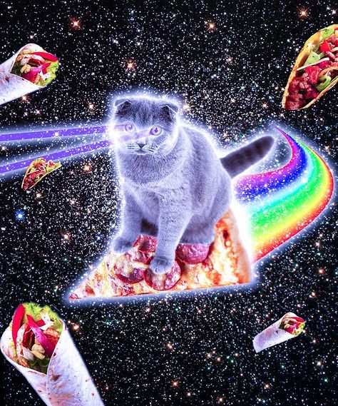 Laser Eyes Space Cat Riding Rainbow Pizza by SkylerJHill Rainbow Pizza, Laser Eyes, Cat Riding, Cat Laser, Hipster Design, Laser Eye, Pizza Cat, Galaxy Cat, Senior Cat