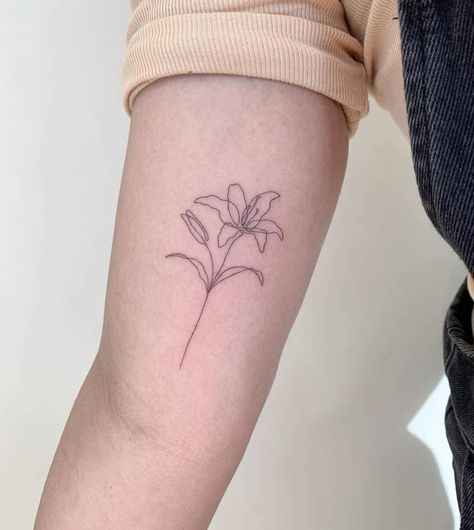 Stargazer Lily Fine Line Tattoo, Star Gazing Lily Tattoo, If He Dresses The Lillies Tattoo, Tiger Lily Tattoo Simple, Amaryllis Tattoo Simple, Single Line Lily Tattoo, Lilly Flower Tattoo Designs Simple, Fine Line Lily Flower Tattoo, Artsy Fine Line Tattoo