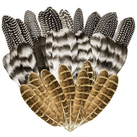 Turkey feather decor