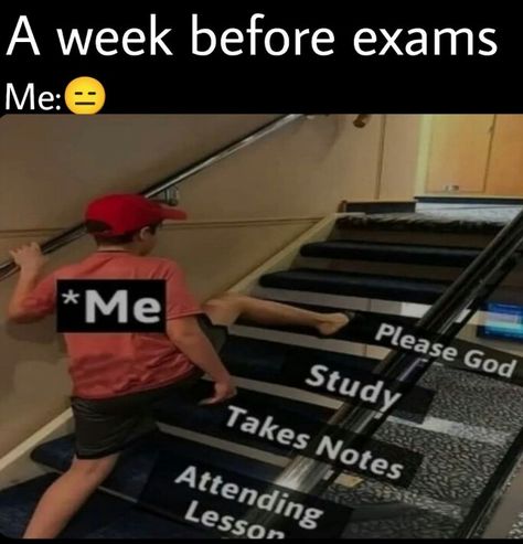 After Exams Funny Quotes, Exams Memes Funny, After Exam, Exams Memes, Exams Funny, Also Me, Exam Quotes Funny, Very Funny Jokes, Some Funny Jokes