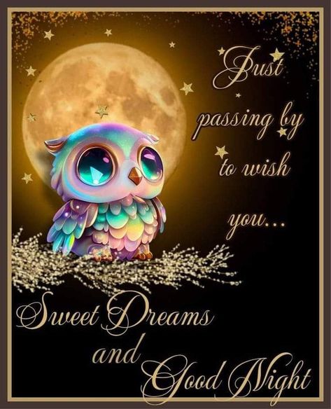 Good Morning Prayer Messages, Weekly Greetings, Good Night Angel, Weekly Motivation, Sweet Dreams Pictures, Sweet Dreams Sleep Tight, Goodnight Images, Good Night Blessings Quotes, Good Night Family