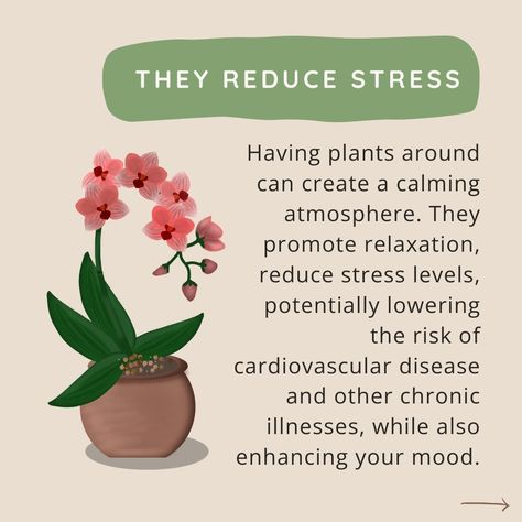 Day 3 of the 30-day Environmental Wellness Challenge encouraged having an air-purifying house plant! If you weren't already sold, here are more benefits of having houseplants! #earthday #environmentalwellness #houseplants #stressreduction #mentalhealth #airpurifyingplants #balancedwithamber #aloeplant #30daychallenge Environmental Wellness, Garden Notes, Air Purifying House Plants, Wellness Challenge, Plant Benefits, Aloe Plant, Air Purifying Plants, Air Purifying, Bedroom Plants