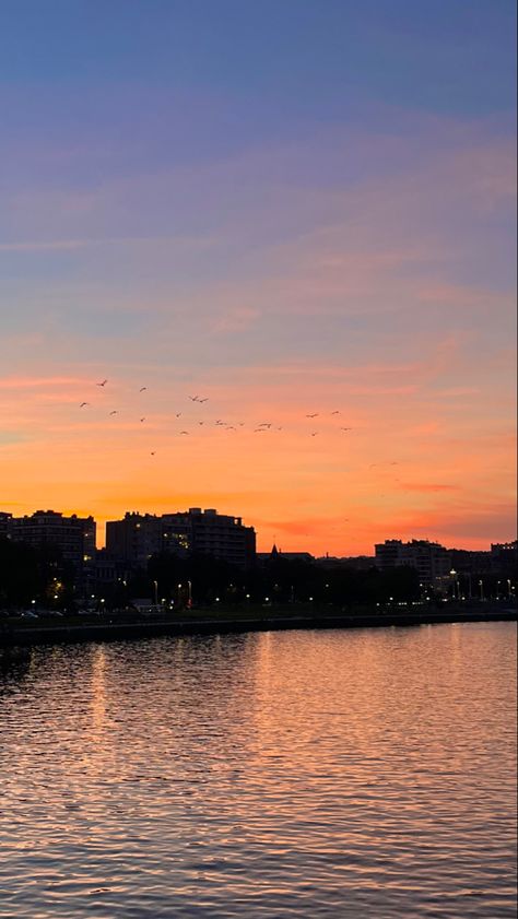 #liege #belgium #europe #sunset #citysky #city #sky #orangesky #pinksky #meuse #lameuse #birds 2025 Moodboard, Liege Belgium, City Sky, Orange Sky, Pink Sky, Belgium, Vision Board, Birds