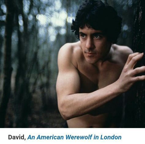 American Were Wolf in London David Naughton, Griffin Dunne, David Kessler, An American Werewolf In London, Alan Bates, Werewolf In London, Classic Film Stars, American Werewolf In London, Film Art