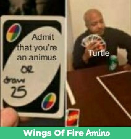 Wings of Fire memes Wings Of Fire Quotes, Wings Of Fire Headcanons, Wings Of Fire Memes Hilarious, Wof Memes Funny, Wings Of Fire Funny, Wings Of Fire Qibli, Wings Of Fire Dragons As Humans, Wings Of Fire Ships, Wing Of Fire