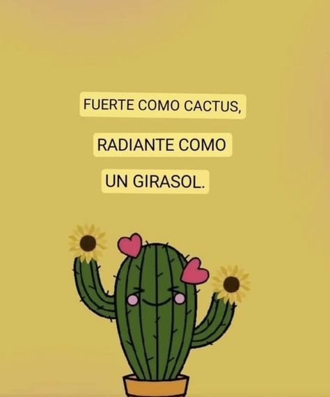 Post Instagram, Cactus, Iphone, Instagram