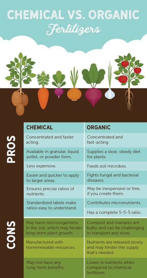 Garden Tricks, Organic Fertilizers, Organic Market, Mini Project, Study Flashcards, Info Graphic, Organic Soil, Garden Help, Organic Garden