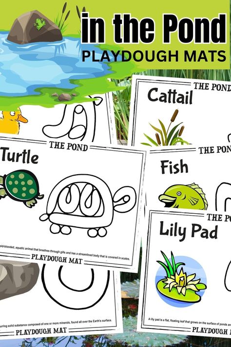 Ponds Preschool Activities, Pond Lesson Plans Preschool, Preschool Pond Activities, Pond Life Preschool Crafts, Science Sensory Activities, Pond Activities Preschool, Pond Theme Preschool, Pond Life Preschool Activities, Pond Preschool