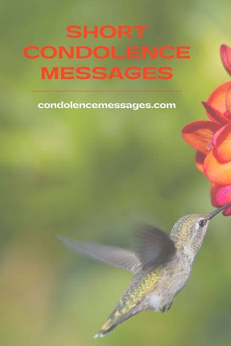 Short Condolence Message, Condolences Messages, Writing A Sympathy Card, Condolences Messages For Loss, Condolence Message, Sending Condolences, Words Of Condolence, Condolence Flowers, Sympathy Floral