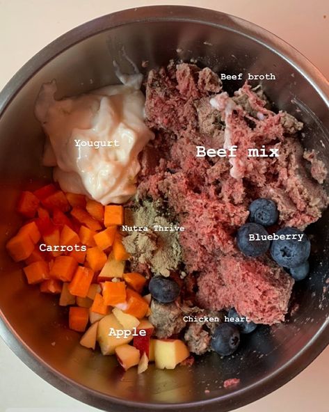 Breakfast Dog Food Recipes, Fresh Pet Dog Food Recipe, Dog Food Recipes Crockpot, Dog Raw Diet, Apple Yogurt, Yogurt Blueberries, Foods Dogs Can Eat, Raw Dog Food Diet, Beef Tripe