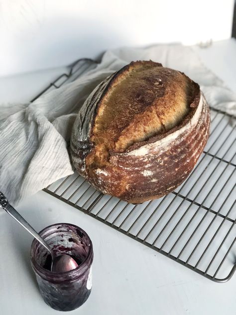 Butternut Molasses Sourdough Bread | Ashley Marie Farm and Bakery Anti Nutrients, Butternut Squash Cooking, Molasses Bread, Make Sourdough Bread, Fermented Bread, Proofing Baskets, Phytic Acid, Make Bread, Wild Yeast