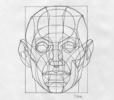 Reilly Method for Portrait Drawing - Paint the Town Citrus Reilly Method, Planes Of The Face, Head Drawing, 얼굴 드로잉, Human Anatomy Drawing, Drawing Heads, Human Drawing, Anatomy For Artists, Figure Sketching