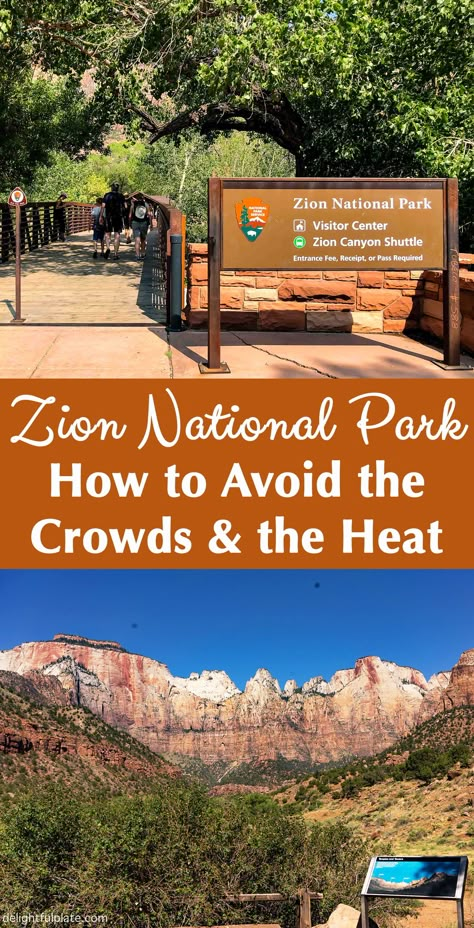 Zion National Park Outfit Summer, Parking Tips, Zion National Park Photography, Zion National Park Hikes, Utah National Parks Road Trip, Utah Parks, Zion Park, Plate Recipes, National Park Lodges