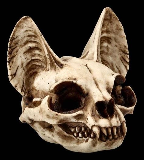 Bastet Skull Figurine - Cat | www.figuren-shop.de Gothic Mask, Skull Animal, Egyptian Cat Goddess, Dog Skull, Bat Skull, Cat Goddess, Cat Skeleton, Vampire Dracula, Animal Skeletons