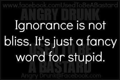 Ignorance Is Not Bliss, Fancy Words, Anger Issues, Twisted Humor, Life Is Hard, Anger, Words Of Wisdom, Things To Think About, Tech Company Logos