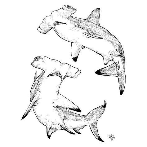 Interesting Ink Animal Drawing Hammerhead Drawing, Sharks Sketch, Hammerhead Shark Tattoo Design, Hammerhead Sharks, Hammerhead Shark Line Tattoo, Hammerhead Shark Tattoo Ideas, Shark Drawing Sketches, Hammerhead Shark Drawing, Hammerhead Shark Art