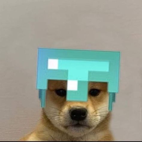 Old Xbox, Doge Dog, Playing Minecraft, Tokyo Ghoul Wallpapers, Dog Icon, Real Anime, Cute Cosplay, Funny Profile Pictures, Fishing Humor