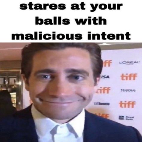 Wide Jake Gyllenhaal, Jake G, Brokeback Mountain, Bunny Man, Donnie Darko, Love U Forever, Silly Faces, Jake Gyllenhaal, I Have No Friends