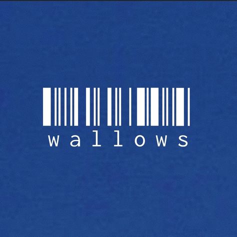 Wallows Wallpaper Desktop, Scrawny Wallows, Mood Video Aesthetic, Wallows Wallpapers, Mood Video, Poster Collage, Wall Pics, Summer Phone, Mood Aesthetic