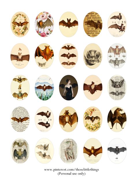 Halloween Antique Bat Bats Designs Printable Ovals 30x40 mm Free Digital Collage Sheet - Free Printable #freeprintable #freedigitalsheet Halloween Ephemera Free Printables, Witch Cabinet, Tarot Spells, Bat Printable, Free Printable Images, Miniatures Halloween, Designs Printable, Halloween Miniatures, Journal Stuff