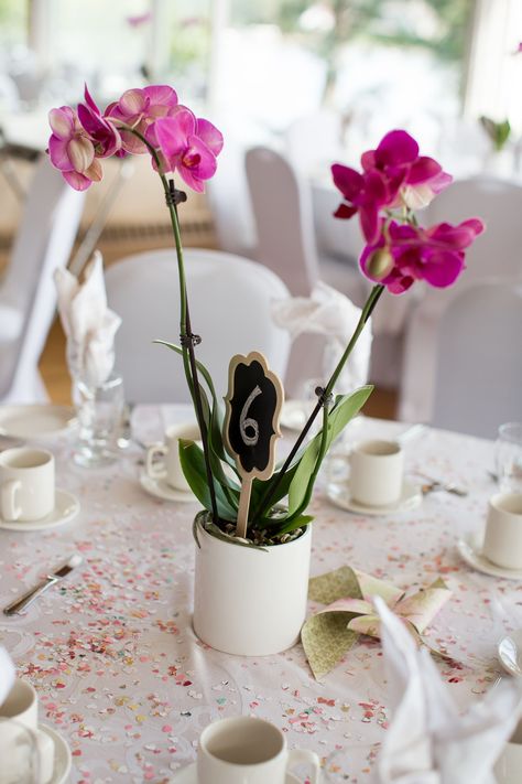 Wedding Centerpieces Orchids, Potted Orchid Centerpiece, Orchid Centerpieces Wedding, Diy Orchids, 22nd Bday, Plant Centerpieces, Vintage Wedding Centerpieces, Beach Wedding Centerpieces, Orchid Centerpieces