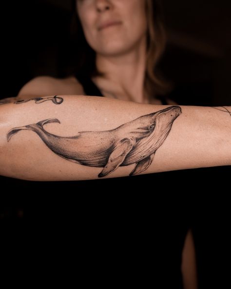 The whale 🐋 L I S B O N Booking is open June July #tattoolisboa #tattoolisbon #lisboatattoo #lisbontattoo #tattooporto #portotattoo #tattooportugal #portugal #portugaltattoo #tattoowhale #whaletattoo #whale Whale Shoulder Tattoo, Whale Tattoo, Whale Tattoos, Leg Sleeve, The Whale, Leg Sleeves, S B, Shoulder Tattoo, Arm Tattoo