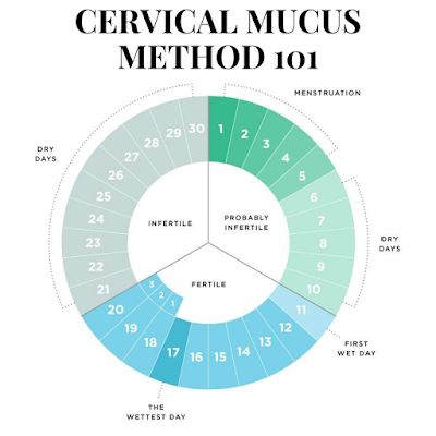 Natural Birth Control, Fertility Awareness Method, Natural Family Planning, Birth Control Methods, Cervical Mucus, Fertility Awareness, Healthy Hormones, Menstrual Health, Feminine Health