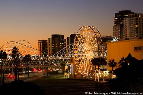 Ferris Wheel at The Pike, Waterfront Center, Long Beach, California Long Beach Pike, Long Beach City, Great Vacation Spots, City By The Sea, Cali Life, City Tattoo, Long Beach California, Beach City, Vegas Trip