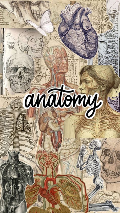 Anatomy Cover Page, Notes Cover Page, Emt Study, Anatomy Notes, Notes Cover, Medical Student Motivation, Medical Wallpaper, Future Doctor, Medical Aesthetic