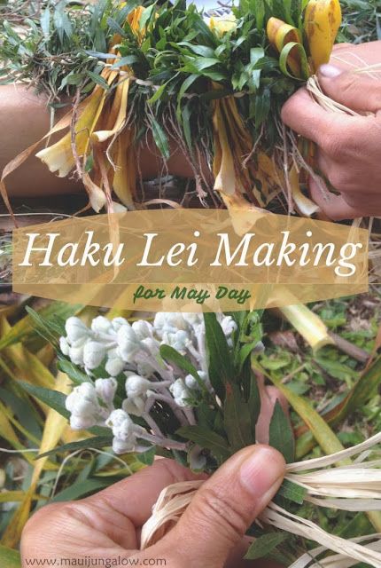 Haku Lei Making on May Day at the Bailey House Museum Haku Lei Diy, Lei Po'o Diy, Hawaiian Traditions, Museum House, Hawaii Lei, Lei Poo, Wedding Lei, Haku Lei, Lei Making