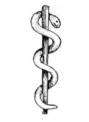 Staff-of-Aesculapius.gif 301×412 pixels Bronze Serpent, Doctor Life, Healing Symbols, Serpent Tattoo, Greek Symbol, Health Symbol, Cross Tattoos, Black Magick, Solomons Seal