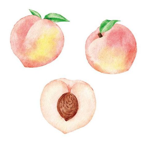 Strawberry Watercolor, Peach Art, Peach Fruit, Watercolor Fruit, Gift Inspo, Homeschool Art, Peach Flowers, Floral Notes, Tattoo Sketches