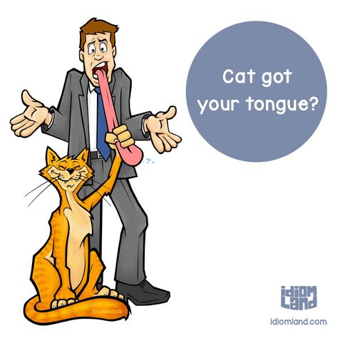 Ooops! #idioms #english #learnenglish #englishidioms #jokes #cats Teaching Idioms, Cat Got Your Tongue, Idioms English, Learning Psychology, Confusing Words, English Language Teaching, English Idioms, Language Teaching, Cat Stuff