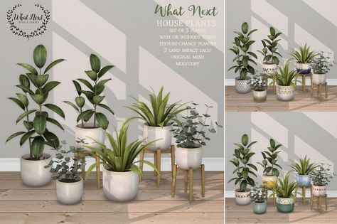 https://flic.kr/p/TbmKr3 | {what next} House Plants for Fifty Linden Friday | for this week's Fifty Linden Friday! Sims 4 Live In Business Mod, Sims 4 Functional Computer, The Sims 4 Cc Plants Maxis Match, Sims 4 Cc Furniture Plants, Plant Cc Sims 4, Sims 4 Furtinure Cc, Sims4cc Build, The Sims 4 Cc Plants, Sims 4 Cc House Decor