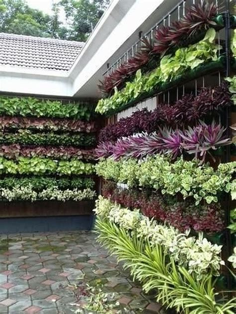 Here are our favorite eight plants for various types of indoor vertical gardens, including some tips on what types of vertical gardens they’d do well in. Air plants (epiphyte) such plants do not need soil to thrive, they grow naturally on other plants, which. Shallow rooted plants radishes, lettuce, spinach, green onions,. Plants like the string of pearls, echeveria, crassula and sedum can be considered. When planning your vertical garden, consider the light requirements of. Vertical gardenin... Vertical Vegetable Garden Design, Vertical Herb Gardens, Vertical Garden Systems, Vertical Planting, Vertical Garden Plants, Vertical Garden Design, Vertical Vegetable Garden, Vertical Garden Wall, Vertical Herb Garden