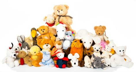 Stuffed Animals Prank for April Fools Animals Background, Prank Ideas, April Fools Pranks, Fools Day, Photo Grouping, April Fools Day, Background White, April Fools, Good Old