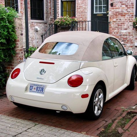 Nice convertable vw Volkswagen Bug Convertible, Vw Beatle Convertable, Pink Vw Beetle Interior, Volkswagon Bug Aesthetic, Bettle Volkswagen Convertible, Vw Bug Aesthetic, Beatle Car Volkswagen, Vw Beetle Custom, Bentley Auto