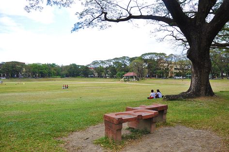 From Wikiwand: University of the Philippines Diliman University Of The Philippines Diliman, Up Diliman, University Of The Philippines, Sunken Garden, Definition Of Love, Everyday Art, Dream School, Quezon City, Boys Wallpaper