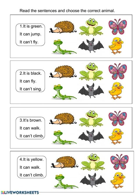 Animals Worksheets For Kids, Animals Worksheet, Animal Riddles, Animals Activities, Riddles For Kids, Kids Worksheet, English Grammar For Kids, Kindergarten Phonics Worksheets, Reading Comprehension Kindergarten