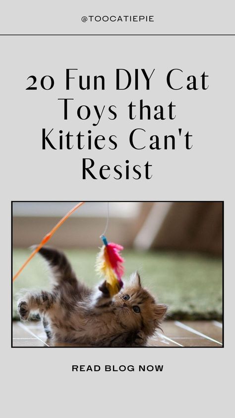 DIY Cat Toys Making Cat Toys Ideas, Diy Cat Puzzle Toys, Diy Kitten Toys, Diy Cat Toys Easy, Diy Cat Tent, Ferrets Care, Cat Playhouse, Cardboard Cat House, Cool Cat Toys