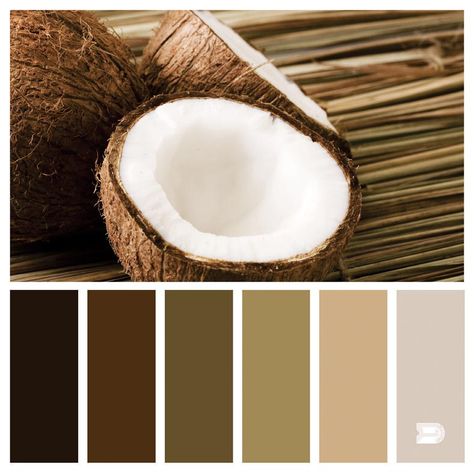 Coconut. Duca palets Coconut Colour Palette, Toasted Coconut Wedding Colors, Brown Color Palettes, Earth Colour Palette, Design Seed, Organic Branding, Window Grill Design Modern, Harmony Art, Color Combinations Paint