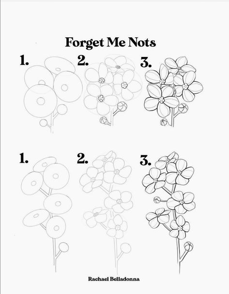 Trin For Trin Tegning, Forget Me Nots Flowers, Nature Illustrations, Doodle Flowers, Botanical Line Drawing, Watercolor Art Landscape, Draw Flowers, Flower Drawing Tutorials, Flower Drawings