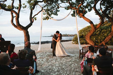 Get Married on the Big Island of Hawaii at the Four Seasons Hualalai Four Seasons Hualalai Wedding, Small Intimate Wedding Venues, Winter Ceremony, Big Island Wedding, Wedding Venues Hawaii, Intimate Wedding Venues, Wedding Tree, Big Island Of Hawaii, Island Of Hawaii