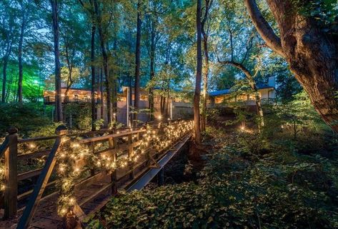 Forest Restaurant, Congaree National Park, Parents Weekend, Outdoor Restaurant Design, Wake Forest University, Fall Semester, Wake Forest, Outdoor Restaurant, Winston Salem